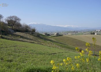 Foto 16 - Rustic Contrada S. Lazzaro, Offida - photo 16