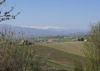 Foto 22 - Rustic Contrada S. Lazzaro, Offida - photo 22