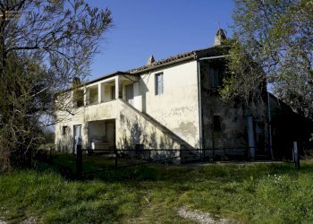 Foto 26 - Rustic Contrada S. Lazzaro, Offida - photo 26