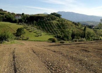 Foto 4 - Terreno agricolo Castorano - foto 4