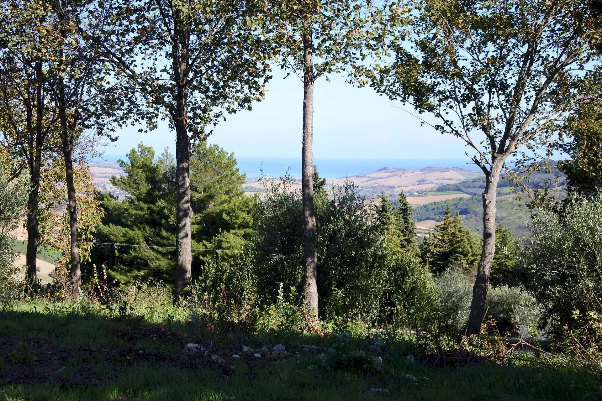 Foto 2 - Rustico Contrada Collina, Monterubbiano - foto 2