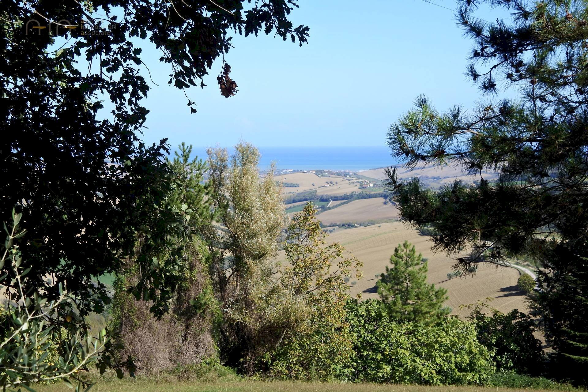 Foto 3 - Rustico Contrada Collina, Monterubbiano - foto 3