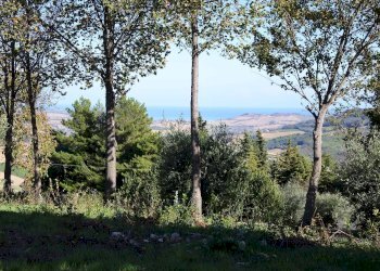 Foto 2 - Rustico Contrada Collina, Monterubbiano - foto 2