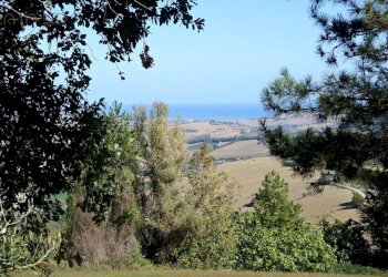 Foto 3 - Rustico Contrada Collina, Monterubbiano - foto 3