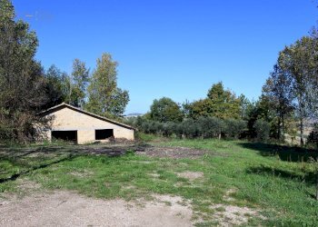 Foto 5 - Rustico Contrada Collina, Monterubbiano - foto 5