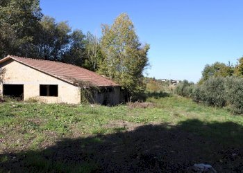 Foto 6 - Rustico Contrada Collina, Monterubbiano - foto 6