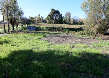 Foto 7 - Rustico Contrada Collina, Monterubbiano - foto 7