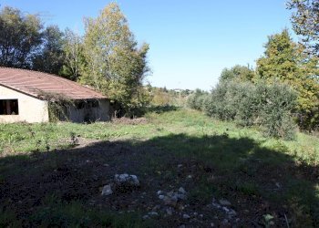 Foto 8 - Rustico Contrada Collina, Monterubbiano - foto 8