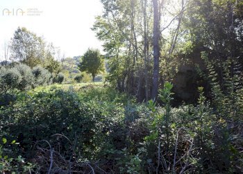 Foto 10 - Rustico Contrada Collina, Monterubbiano - foto 10