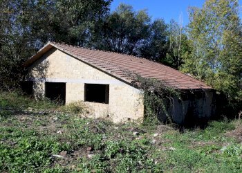 Foto 12 - Rustico Contrada Collina, Monterubbiano - foto 12