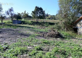 Foto 13 - Rustico Contrada Collina, Monterubbiano - foto 13