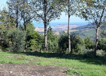 Foto 15 - Rustico Contrada Collina, Monterubbiano - foto 15