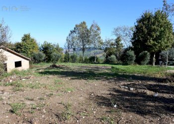 Foto 16 - Rustico Contrada Collina, Monterubbiano - foto 16