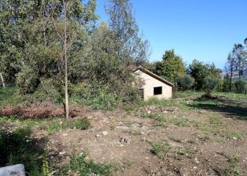 Foto 17 - Rustico Contrada Collina, Monterubbiano - foto 17