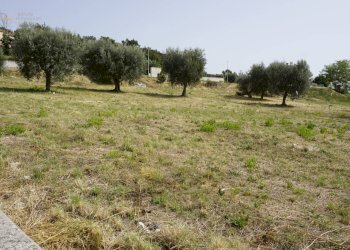 Foto 17 - Terreno edificabile via Cuprense, Grottammare - foto 17