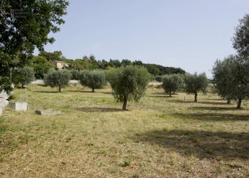 Foto 9 - Terreno edificabile Via Cuprense, Grottammare - foto 9