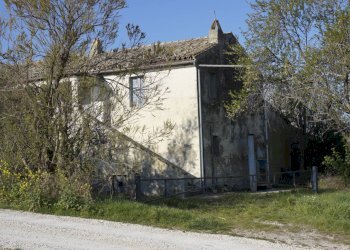 Foto 4 - Rustic Contrada S. Lazzaro, Offida - photo 4