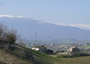 Foto 7 - Rustic Contrada S. Lazzaro, Offida - photo 7