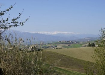 Foto 9 - Rustic Contrada S. Lazzaro, Offida - photo 9