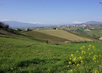 Foto 10 - Rustic Contrada S. Lazzaro, Offida - photo 10