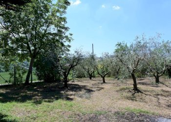 Foto 8 - Rustico via Lago, Castignano - foto 8