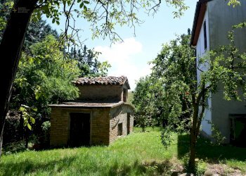 Foto 10 - Rustico via Lago, Castignano - foto 10