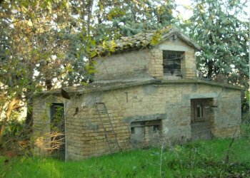 Foto 11 - Rustico via Lago, Castignano - foto 11