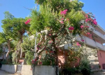 Foto 3 - Hotel via Marconi
 
28, Tortoreto - photo 3