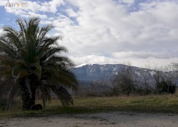 Foto 8 - Terreno edificabile VIA Leonardo Da Vinci, Castel di Lama - foto 8