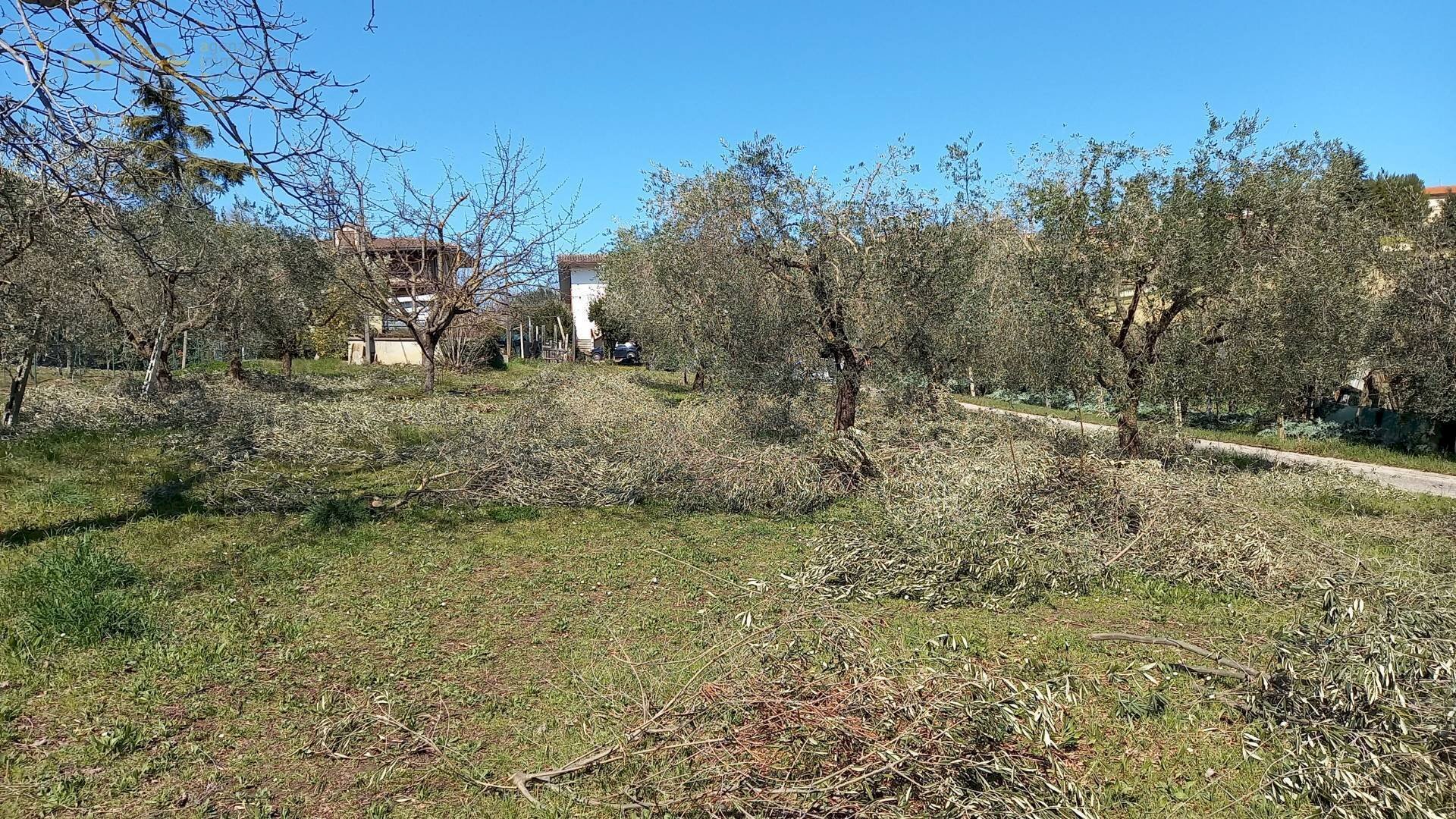 Foto 1 - Terreno edificabile Via Villa Morganti, Colli del Tronto - foto 1
