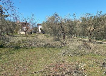Foto 1 - Terreno edificabile Via Villa Morganti, Colli del Tronto - foto 1