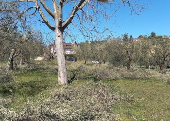 Foto 2 - Terreno edificabile Via Villa Morganti, Colli del Tronto - foto 2