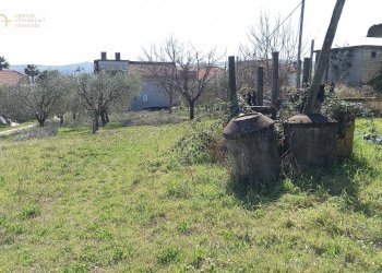 Foto 5 - Terreno edificabile Via Villa Morganti, Colli del Tronto - foto 5