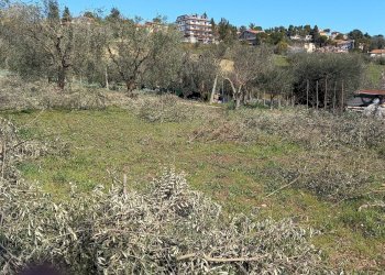 Foto 7 - Terreno edificabile Via Villa Morganti, Colli del Tronto - foto 7