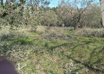 Foto 8 - Terreno edificabile Via Villa Morganti, Colli del Tronto - foto 8