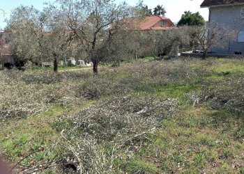 Foto 9 - Terreno edificabile Via Villa Morganti, Colli del Tronto - foto 9