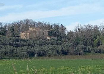 Foto 1 - Rustico Contrada Montecalvario, Montalto delle Marche - foto 1