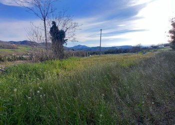 Foto 22 - Rustico Contrada Montecalvario, Montalto delle Marche - foto 22