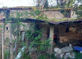 Foto 26 - Rustico Contrada Montecalvario, Montalto delle Marche - foto 26