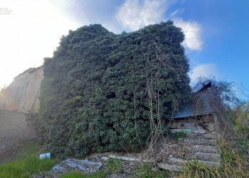 Foto 29 - Rustico Contrada Montecalvario, Montalto delle Marche - foto 29