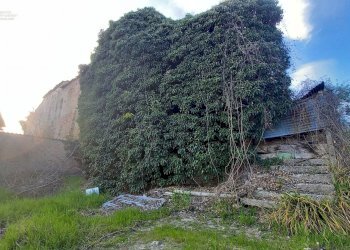 Foto 30 - Rustico Contrada Montecalvario, Montalto delle Marche - foto 30