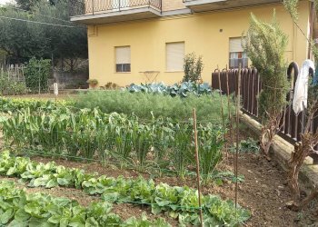 Foto 39 - Apartment Via F.lli Cervi, Castorano - photo 39