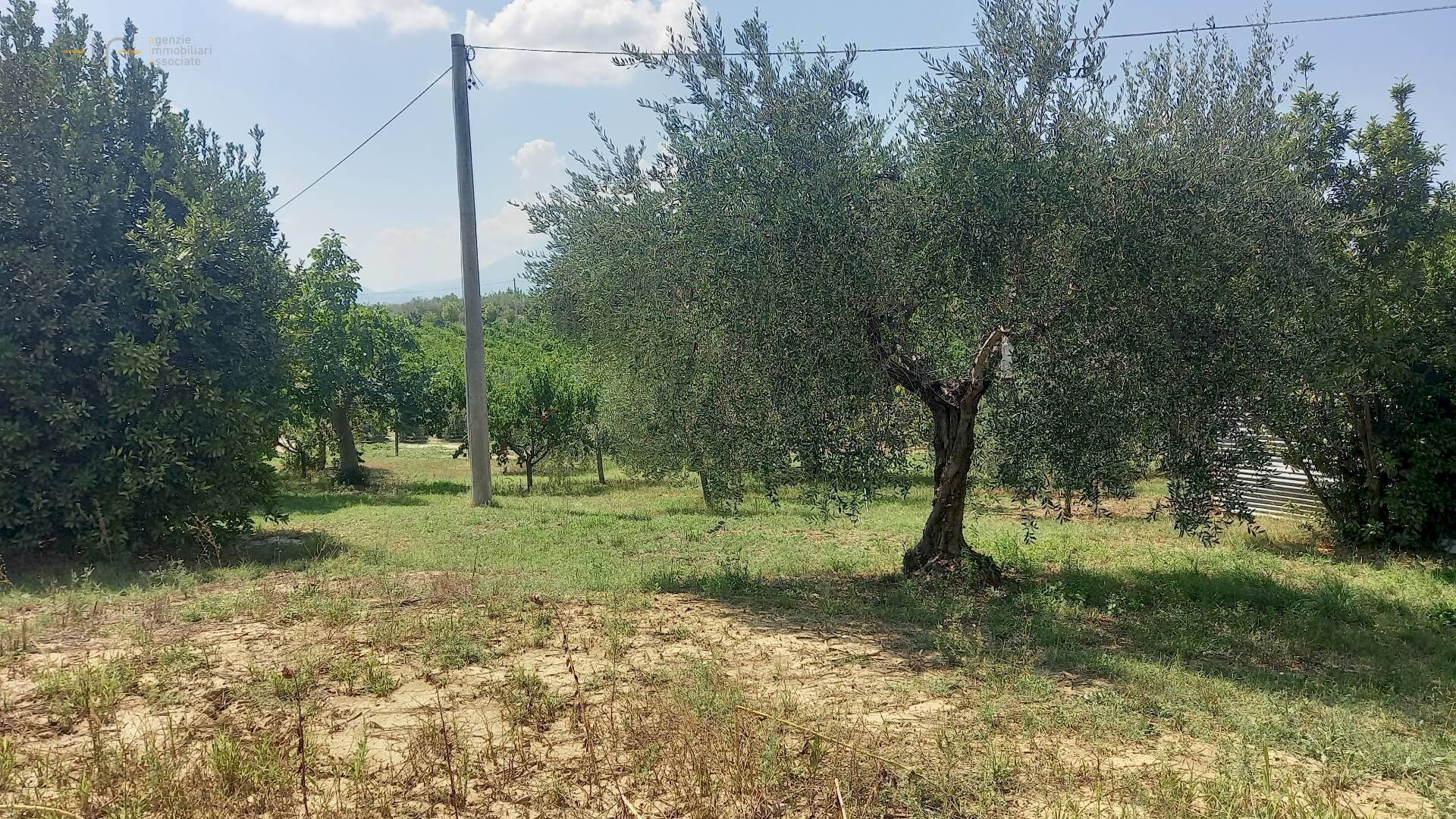 Foto 3 - Rustic Contrada Lava, Offida - photo 3