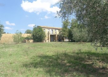 Foto 1 - Rustico Contrada Lava, Offida - foto 1