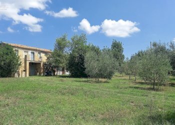 Foto 2 - Rustico Contrada Lava, Offida - foto 2