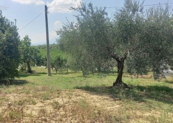 Foto 3 - Rustico Contrada Lava, Offida - foto 3