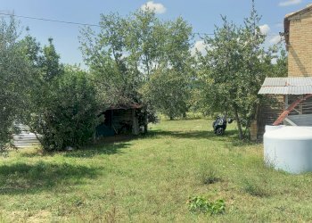 Foto 4 - Rustico Contrada Lava, Offida - foto 4