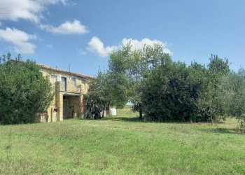 Foto 5 - Rustico Contrada Lava, Offida - foto 5