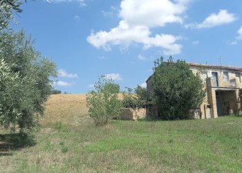 Foto 18 - Rustico Contrada Lava, Offida - foto 18