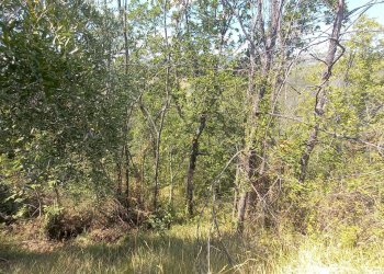 Foto 25 - Rustico Contrada Lava, Offida - foto 25